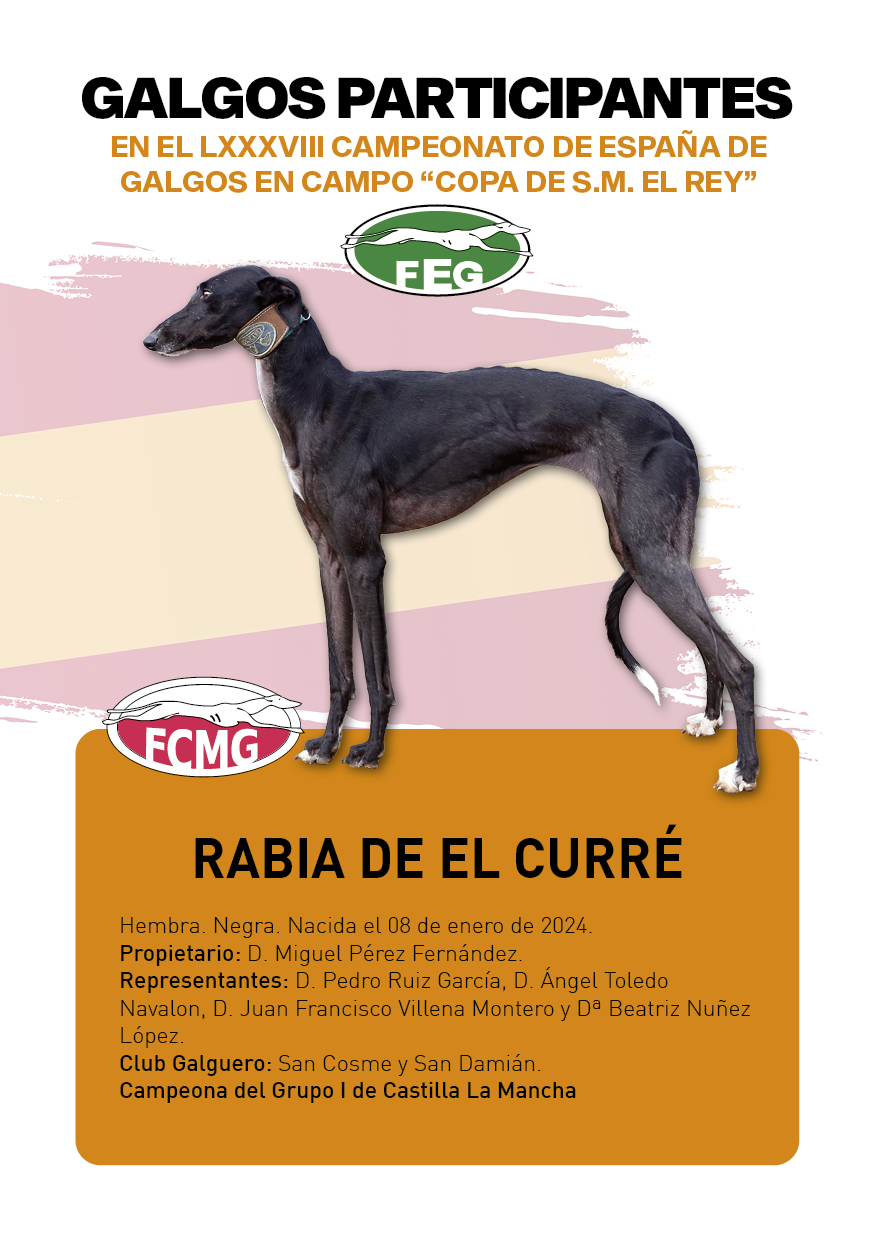 FICHAS galgos participantes LXXXVIII cpto españa5
