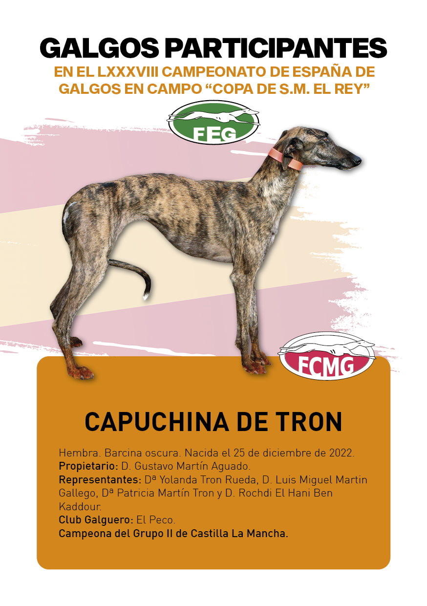FICHAS galgos participantes LXXXVIII cpto españa6