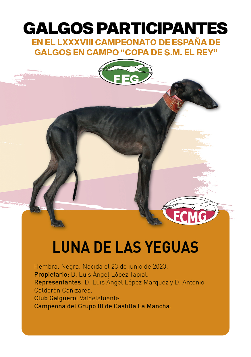 FICHAS galgos participantes LXXXVIII cpto españa7