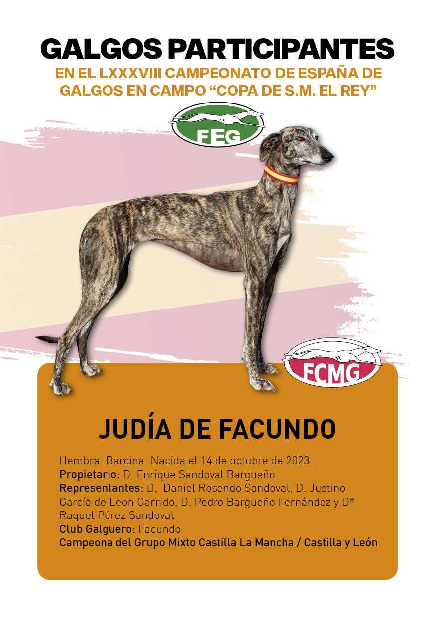 FICHAS galgos participantes LXXXVIII cpto españa8