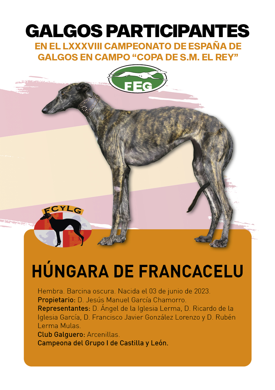 FICHAS galgos participantes LXXXVIII cpto españa9