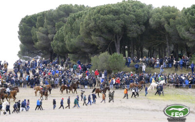 LA FEG PONE FECHA A LAS SEMIFINALES Y FINAL DEL NACIONAL DE GALGOS EN CAMPO 2026
