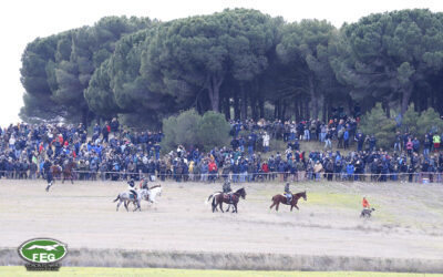 REANUDACIÓN CUARTOS DE FINAL LXXXVIII CTO DE ESPAÑA DE GALGOS EN CAMPO
