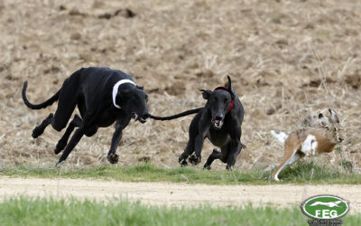 ZAÍNA Y UVA SE JUGARÁN LA MANTELETA DE ESPAÑA