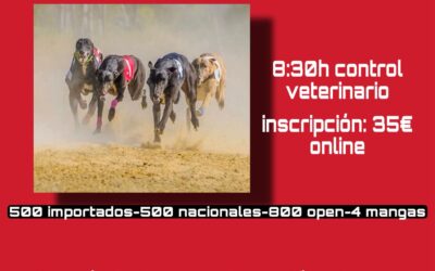 Se abren inscripciones para POZUELO DE CALATRAVA