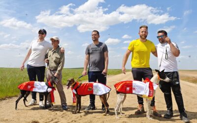 II CARRERA DE LA LIGA. XXVIII CTO DE CASTILLA Y LEÓN DE LIEBRE MECÁNICA