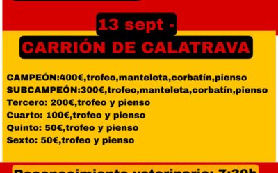 INSTRUCCIONES PARA INSCRIBIR PARTICIPANTES PARA EL XIX CAMPEONATO EN IMPORTADOS, NACIONALES Y OPEN Y  VI CAMPEONATO  EN 4 MANGAS